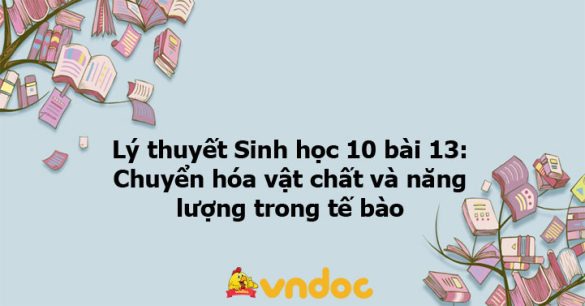 Lý thuyết Sinh học 10 bài 13 CTST