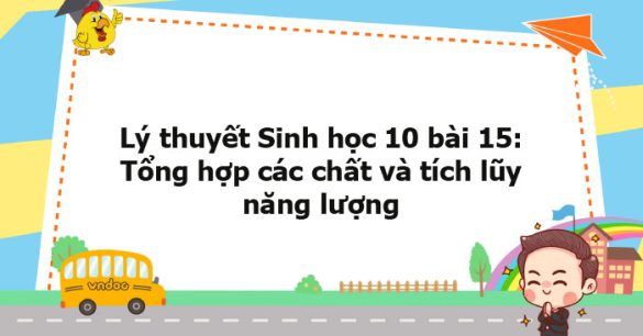 Lý thuyết Sinh học 10 bài 15 CTST