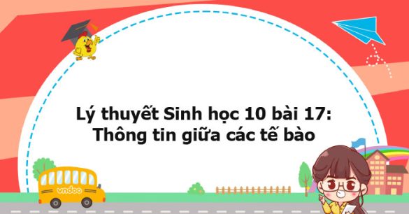 Lý thuyết Sinh học 10 bài 17 CTST