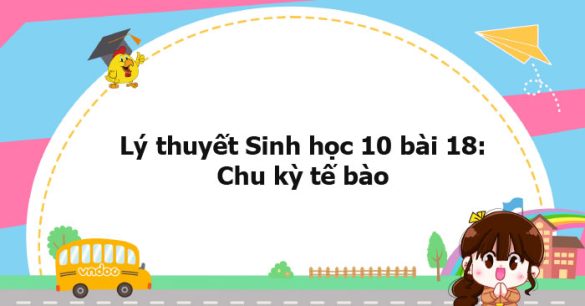 Lý thuyết Sinh học 10 bài 18 CTST