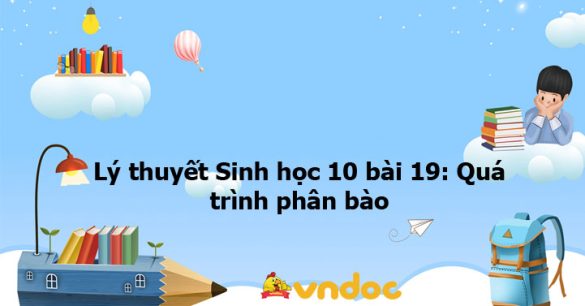 Lý thuyết Sinh học 10 bài 19 CTST