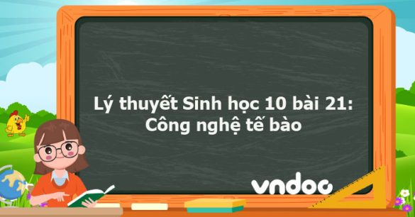 Lý thuyết Sinh học 10 bài 21 CTST