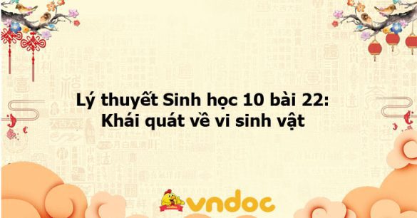 Lý thuyết Sinh học 10 bài 22 CTST