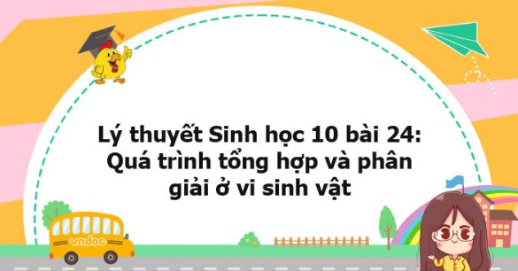 Lý thuyết Sinh học 10 bài 24 CTST