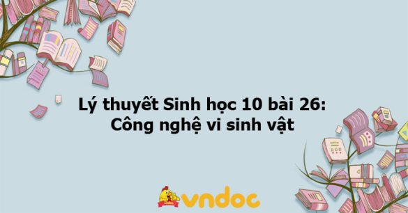 Lý thuyết Sinh học 10 bài 26 CTST