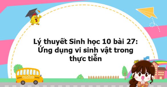 Lý thuyết Sinh học 10 bài 27 CTST