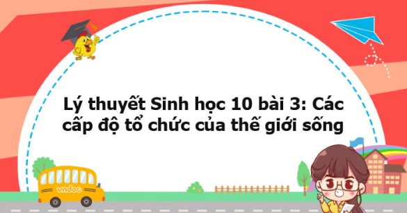 Lý thuyết Sinh học 10 bài 3 CTST