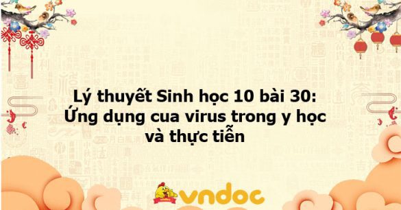 Lý thuyết Sinh học 10 bài 30 CTST