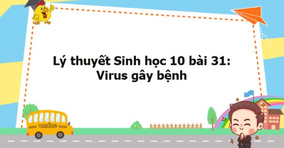 Lý thuyết Sinh học 10 bài 31 CTST