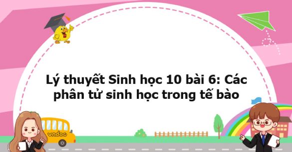 Lý thuyết Sinh học 10 bài 6 CTST