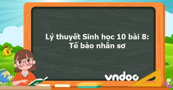 Lý thuyết Sinh học 10 bài 8 CTST