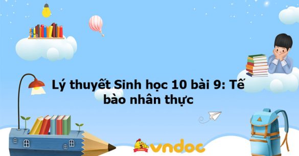 Lý thuyết Sinh học 10 bài 9 CTST