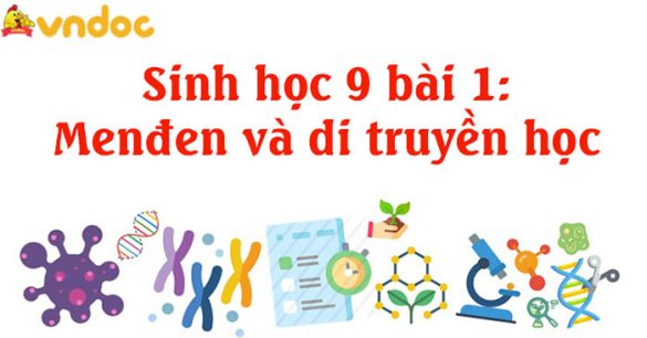 Sinh 9 bài 1: Menđen và di truyền học