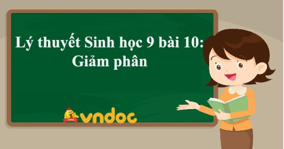 Sinh 9 bài 10 Giảm phân