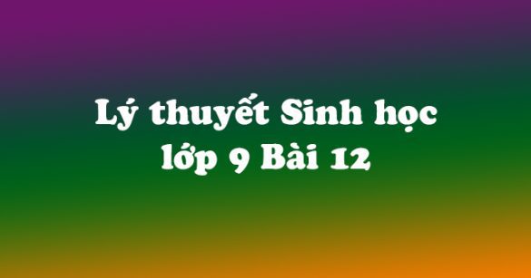 Lý thuyết Sinh học lớp 9 bài 12