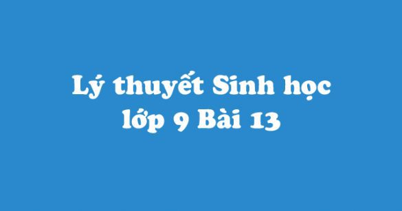 Lý thuyết Sinh học lớp 9 bài 13