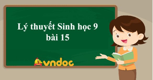 Sinh 9 bài 15: ADN