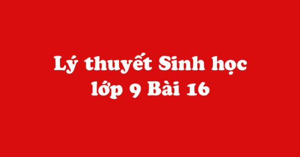 Lý thuyết Sinh học lớp 9 bài 16