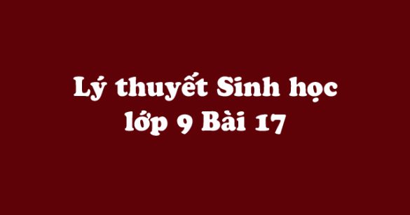 Lý thuyết Sinh học lớp 9 bài 17