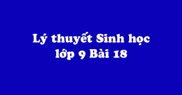 Lý thuyết Sinh học lớp 9 bài 18: Prôtêin