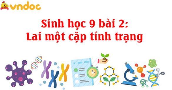 Sinh 9 bài 2: Lai một cặp tính trạng