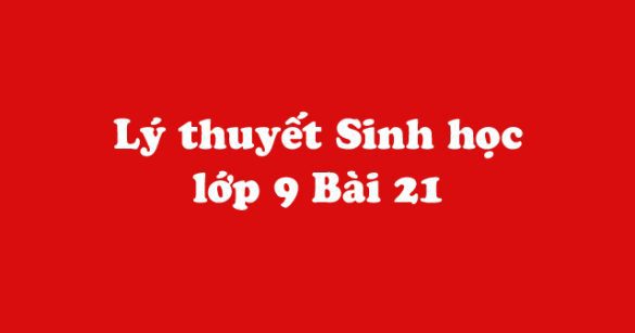 Lý thuyết Sinh học lớp 9 bài 21