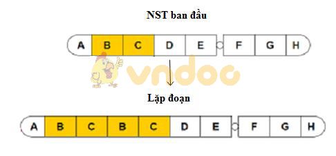 Lý thuyết Sinh học lớp 9 bài 22: Đột biến cấu trúc nhiễm sắc thể