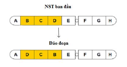 Lý thuyết Sinh học lớp 9 bài 22: Đột biến cấu trúc nhiễm sắc thể