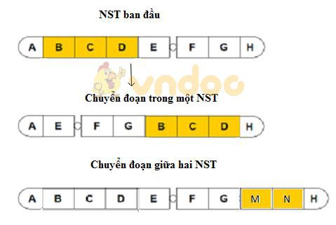 Lý thuyết Sinh học lớp 9 bài 22: Đột biến cấu trúc nhiễm sắc thể