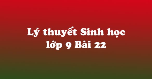 Lý thuyết Sinh học lớp 9 bài 22