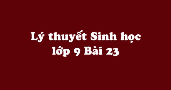 Lý thuyết Sinh học lớp 9 bài 23