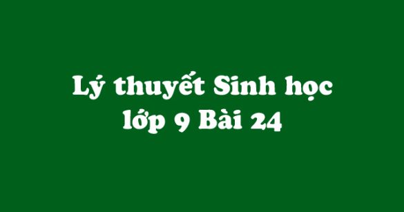 Lý thuyết Sinh học lớp 9 bài 24