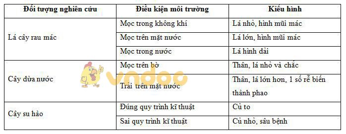 Lý thuyết Sinh học lớp 9 bài 25: Thường biến