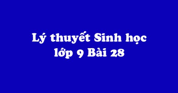 Lý thuyết Sinh học lớp 9 bài 28