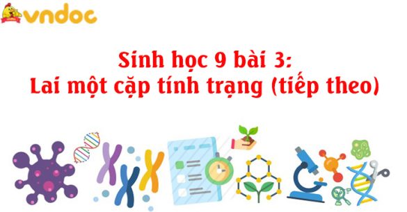 Sinh học 9 bài 3: Lai một cặp tính trạng (tiếp theo)