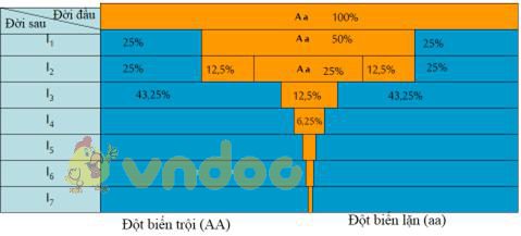 Lý thuyết Sinh học lớp 9 bài 34: Thoái hóa do tự thụ phấn và do giao phối gần