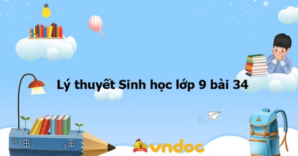 Lý thuyết Sinh học lớp 9 bài 34