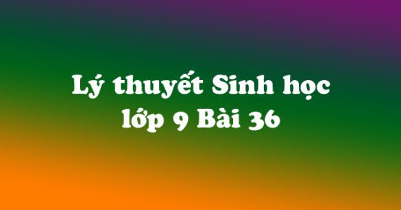 Lý thuyết Sinh học lớp 9 bài 36