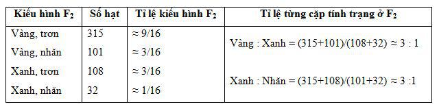 Lý thuyết Sinh học lớp 9 bài 4: Lai hai cặp tính trạng