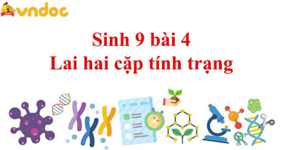 Sinh 9 bài 4 Lai hai cặp tính trạng