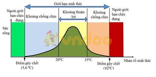 Lý thuyết Sinh học lớp 9 bài 41: Môi trường và các nhân tố sinh thái