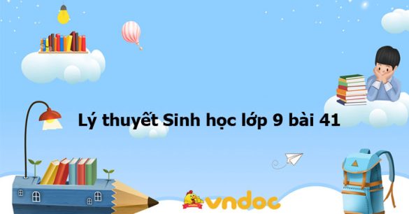 Sinh học 9 bài 41: Môi trường và các nhân tố sinh thái