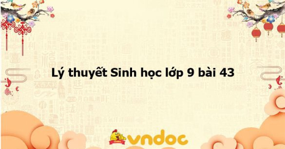 Lý thuyết Sinh học lớp 9 bài 43