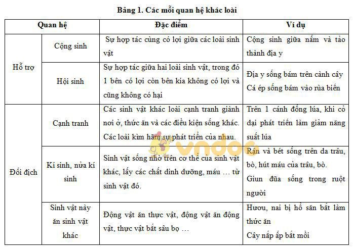 Lý thuyết Sinh học lớp 9 bài 44: Ảnh hưởng lẫn nhau giữa các sinh vật