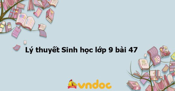 Lý thuyết Sinh học lớp 9 bài 47