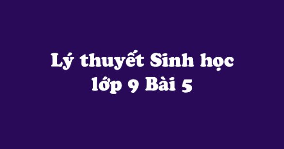 Lý thuyết Sinh học lớp 9 bài 5