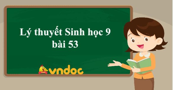 Sinh học 9 bài 53: Tác động của con người đối với môi trường