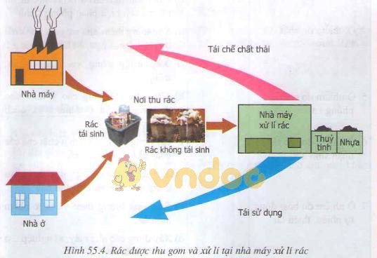 Lý thuyết Sinh học lớp 9 bài 55: Ô nhiễm môi trường (tiếp theo)