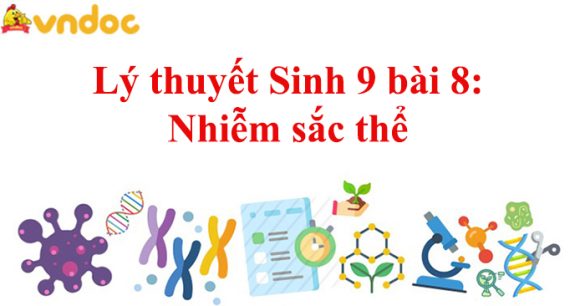 Sinh 9 bài 8: Nhiễm sắc thể