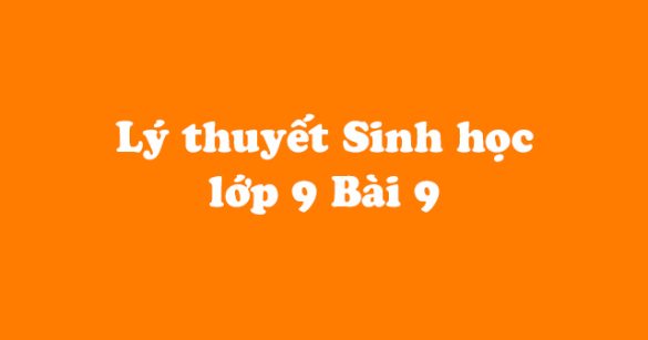 Lý thuyết Sinh học lớp 9 bài 9